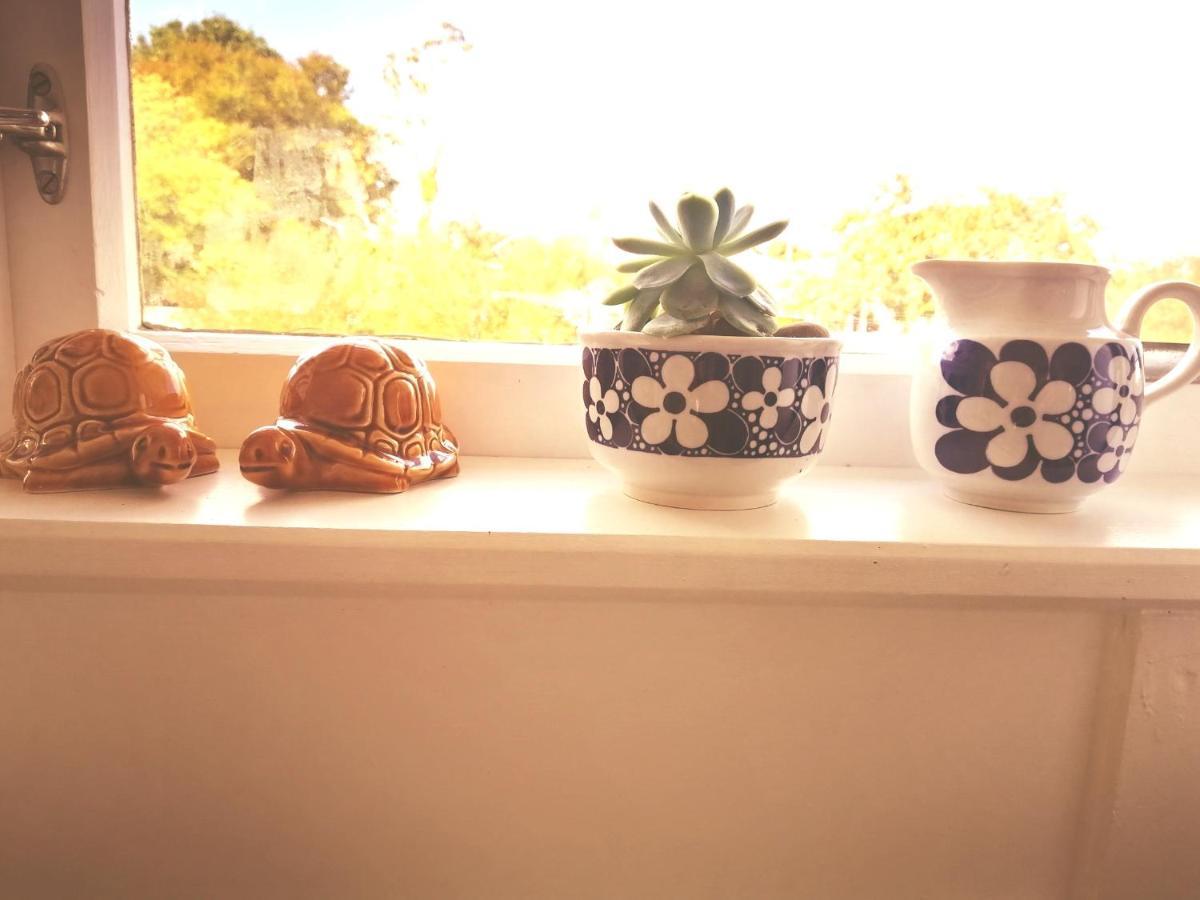 Super Central Cosy Greytown House With Garage 外观 照片